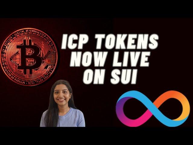 #532: ICP Tokens Now Live on Sui