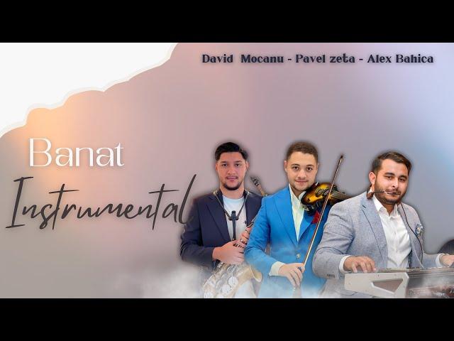 David Mocanu & Pavel Zeta & Alex Bahica - BANAT INSTRUMENTAL 2024 ( AUDIO)