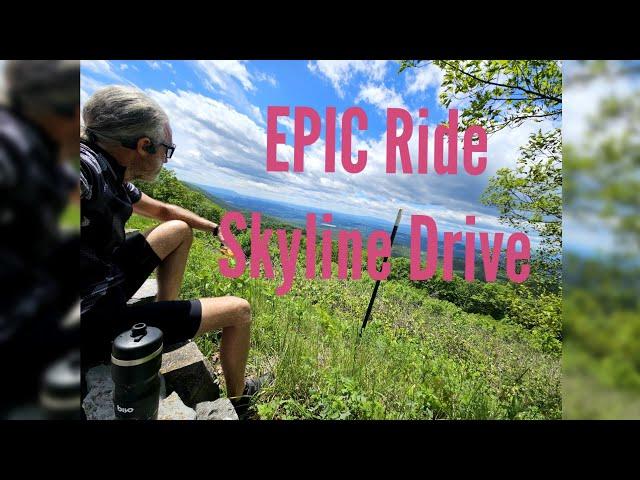 Road Trip in Blue  #vanlife #bikelife