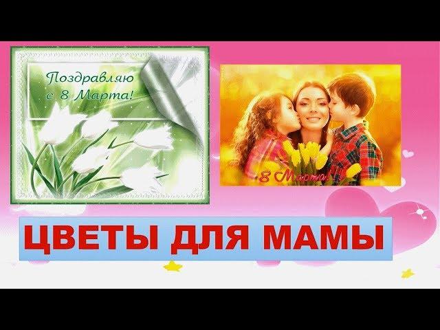 Цветы для мамы