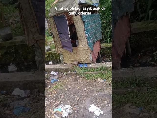 viral mesum di gubuk derita