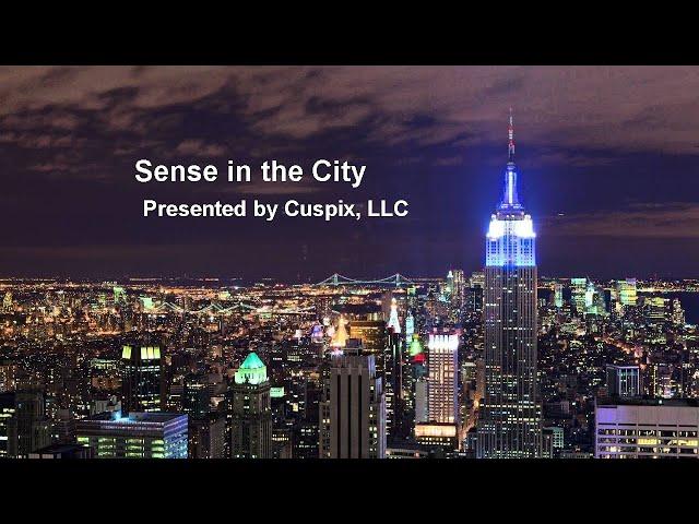 Sense in the City