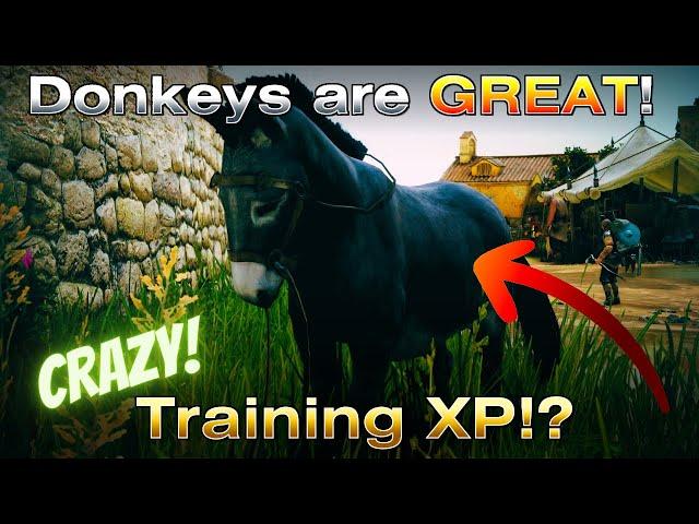 How To Power Level Training FASTER Using ONLY Donkeys In Black Desert Online