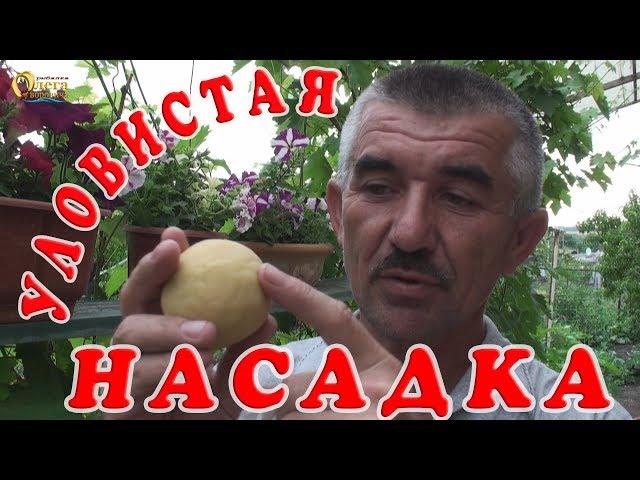 УЛОВИСТАЯ МАСТЫРКА. САМЫЙ ПРОСТОЙ РЕЦЕПТ. ЛАЙФХАК