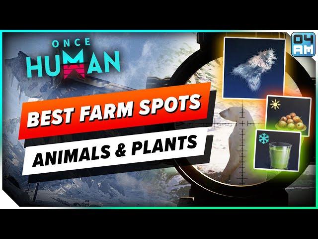 Once Human BEST New Farm Spots! Polar Bear, Seal, Ice Melon & MORE! Way of Winter