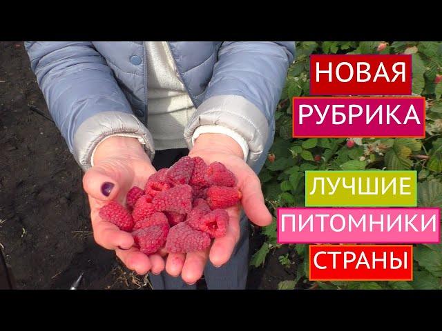 САДОВЫЙ ГИД В ГОСТЯХ У ПИТОМНИКА ШКОЛЬНЫЙ САД!!! РАСКРЫВАЕМ ВСЕ СЕКРЕТЫ!