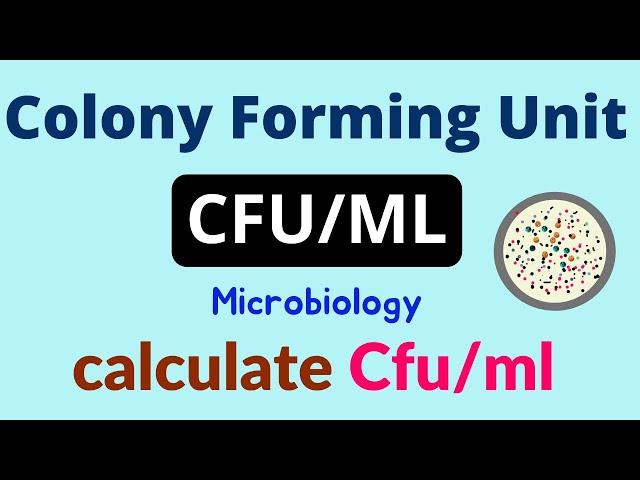 Calculate Colony Forming Units | Microbiolgy  CFU/ml Count