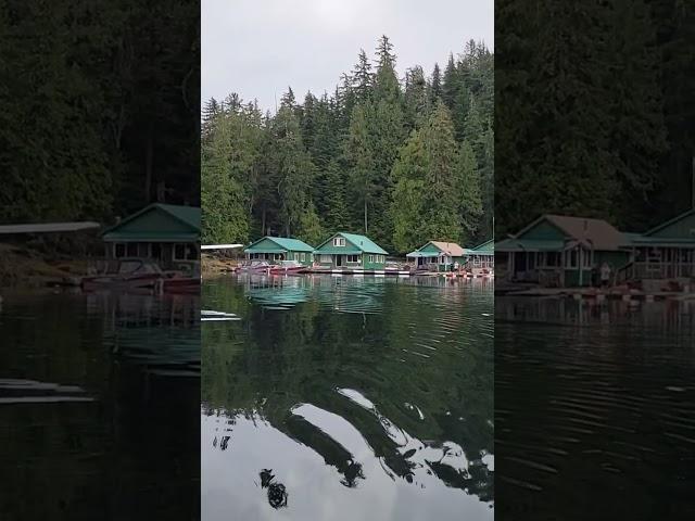 Our Alaska Camp! #todaywithtallypodcast #podcast #adventure #life #shortvideo #health #shorts #USA
