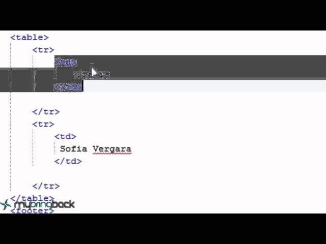 HTML and CSS Tutorial 5 : tables, rows, headers, caption, and basic css