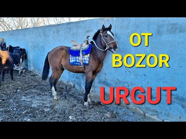 OT BOZOR SAMARQAND URGUT OT BOZOR PIRAVDA MOL BOZOR ULOQCHI OT SOTILADI ОТ БОЗОР SHURA OT BOZOR ZUR