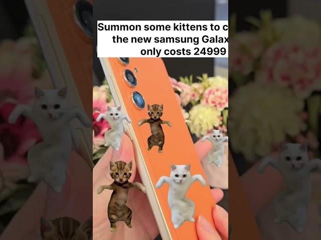 Summon some kittens to celebrate the new samsung Galaxy f55 only costs 24999 #shorts #samsung