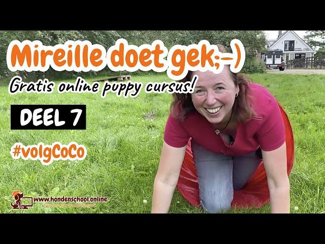 #volgCoCo deel 7: Mireille doet gek - Honden speeltuin gemaakt;-) - Elise krijgt les met CoCo