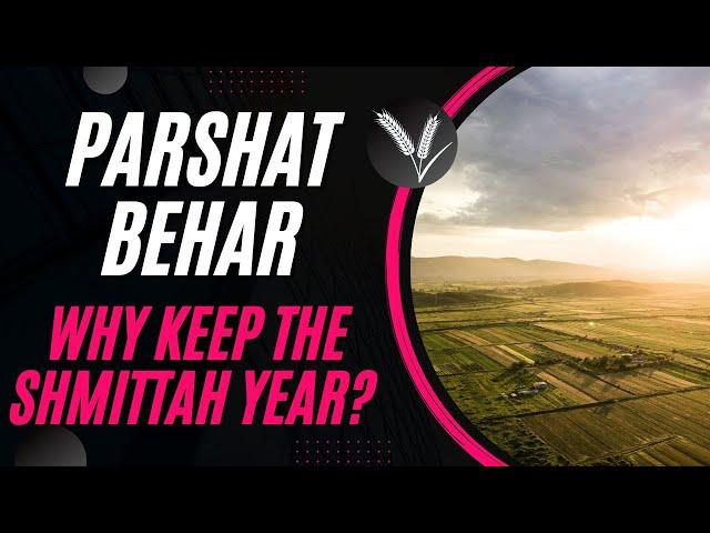 Parshat Behar 2024 The challenge of Shmittah Year - the Sabbatical year