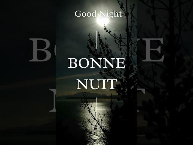 Good night in French #french #français #learnfrench #onlinefrench #shorts