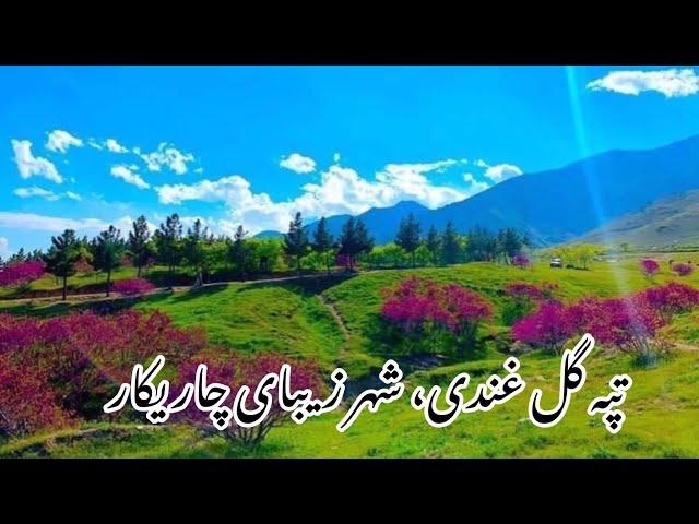 تپه گل غندی، شهر زیبای چاریکار ولایت پروان، افغانستان