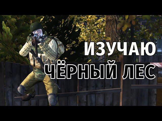 95. Изучаю Чёрный лес. Сталкер Онлайн | Stalker Online | Stay Out. RU2.