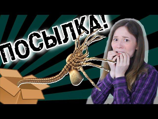 ПОСЫЛКА С НЕЖДАНЧИКАМИ | Время Распаковки #8