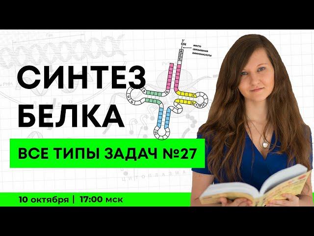 Все типы задач № 27 и № 3 на синтез белка