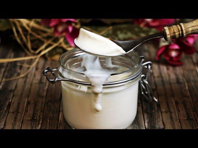 Kako napraviti DOMAĆI JOGURT, bolji nego kupovni  - homemade yogurt english subs