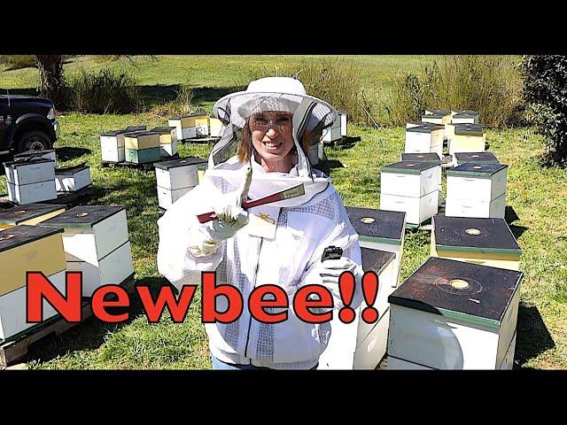 Beekeeping Tips For Beginners