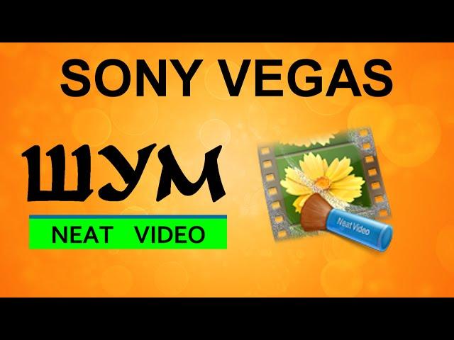 Squelch Neat Video. How to remove noise from the video in Sony Vegas