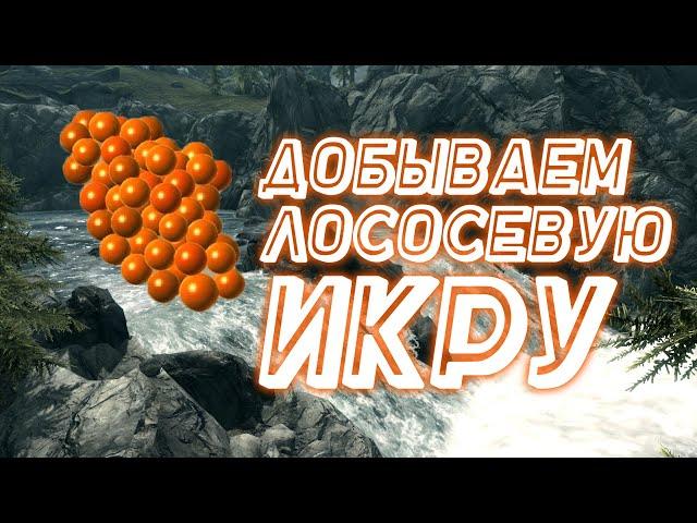 Лососевая Икра Где взять? The Elder Scrolls V: Skyrim