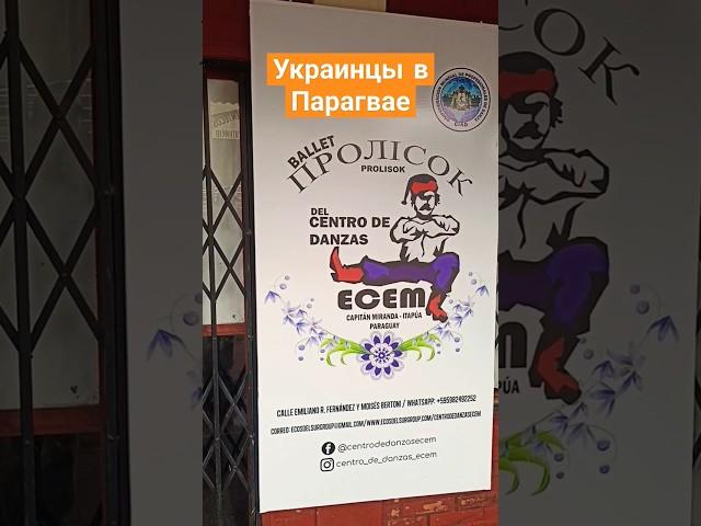 Украинская колония в Парагвае. Не забывают традиции. #америка #латина #парагвай #боливия #украина #