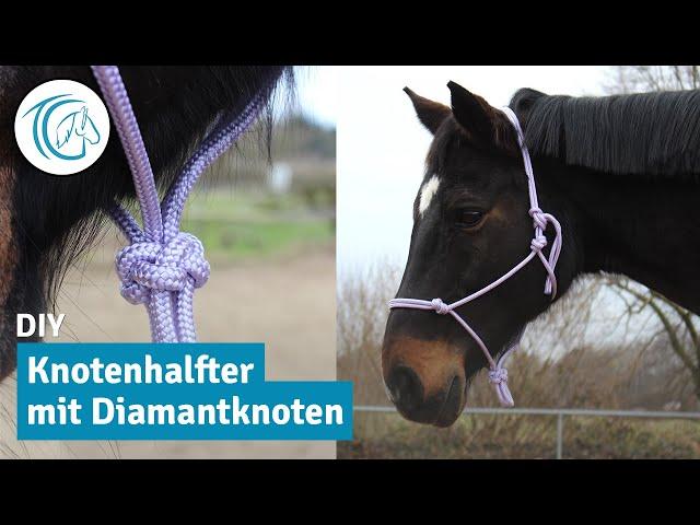 Knotenhalfter mit Diamantknoten selber machen #DIY