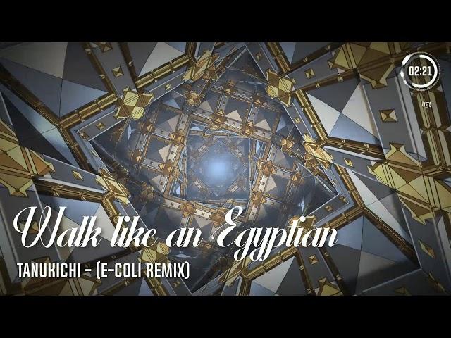 Tanukichi - Walk like an Egyptian (E-Coli Remix)