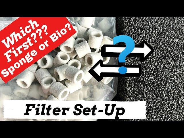 Why Do I Place Media in My Aquarium Filters in THIS ORDER?