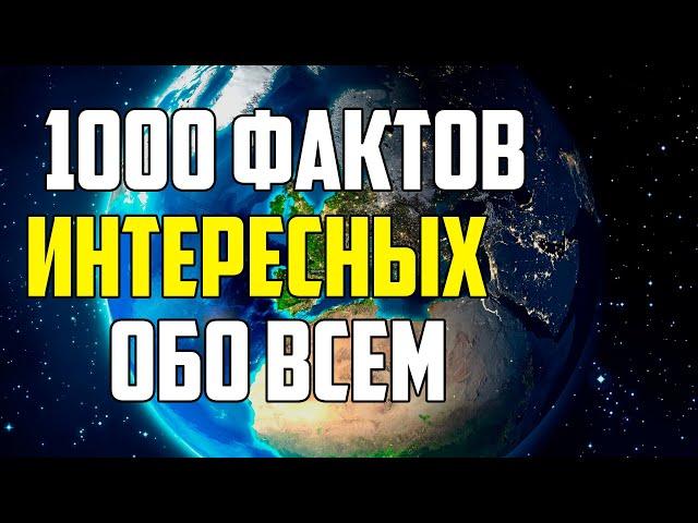 1000 ИНТЕРЕСНЫХ ФАКТОВ ОБО ВСЕМ НА СВЕТЕ