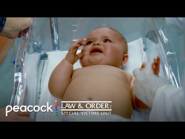 "What Happened To Her Was A Crime" | Law & Order: SVU