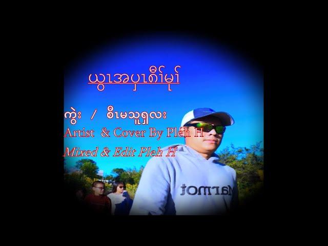 Karen Gospel song  ယွၤအပှၤ၈ီၢ်မုၢ် Cover by Pleh H (Lyrics Audio )2022