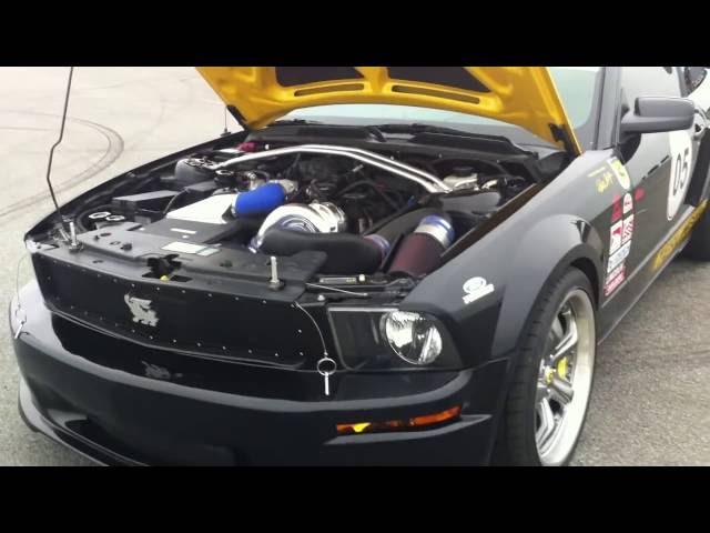 rare shelby terlingua owned by Carroll Shelby