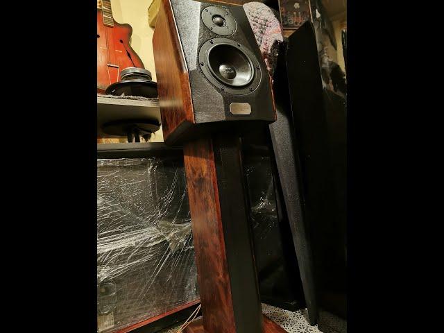 Peak Consult Incognito, High-end Speakers renovation - Part 1/3 [Wilk-Audio-Projekt]