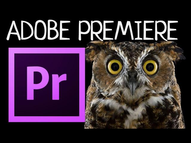 Стабилизация видео в Adobe Premiere