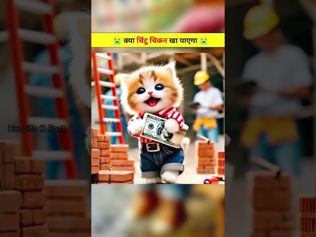 Chintu had to do labour work  #catsoftiktok #cat #cute #cartoon #fyp