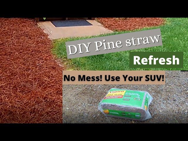 Pine straw Refresh DIY - Vigoro Long Leaf Bagged