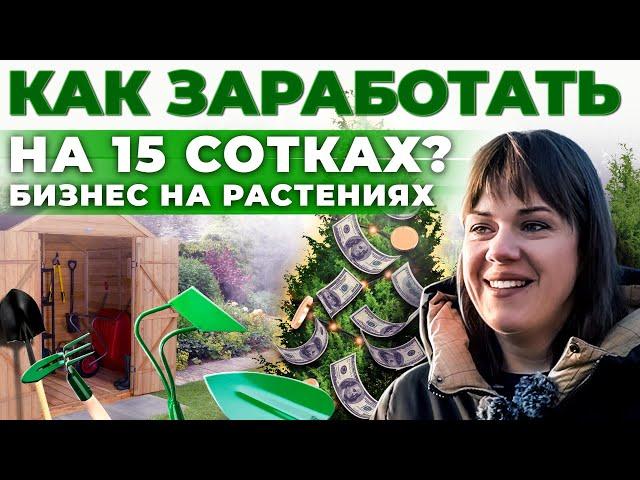 Как заработать на туях и можжевельнике? Бизнес в деревне | Брянск | Андрей Даниленко