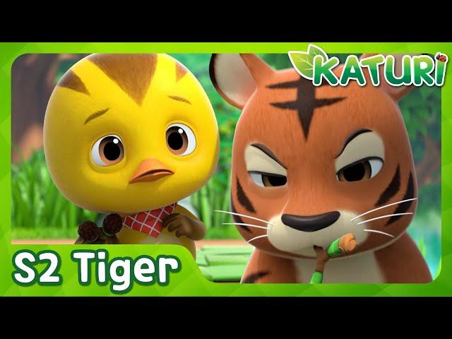 [Katuri S2] Playful Baby Tiger | S2 EP45