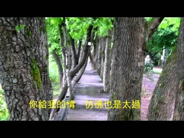 音樂磁場COVER - 愫。 羅東林業文化園區,Taiwan