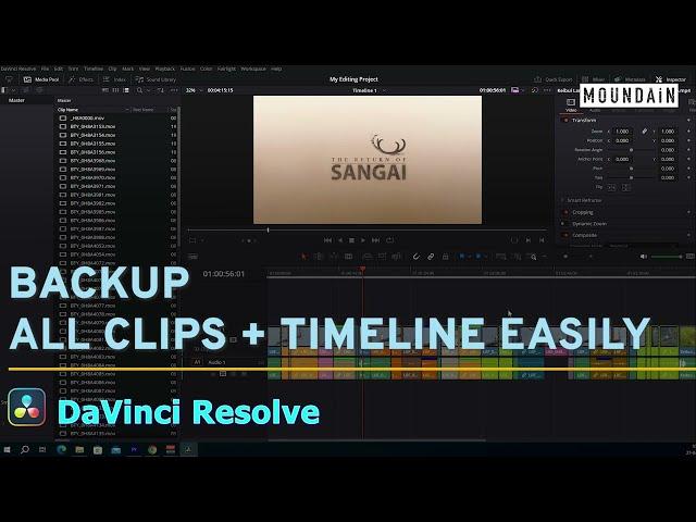 Copy, Backup and Restore Timeline + media easily in Davinci Resolve