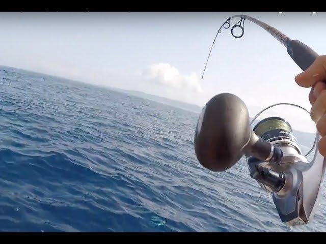 Mahi Mahi fishing "Under water footage" "Ψάρεμα κυνηγου" Fishing Greece