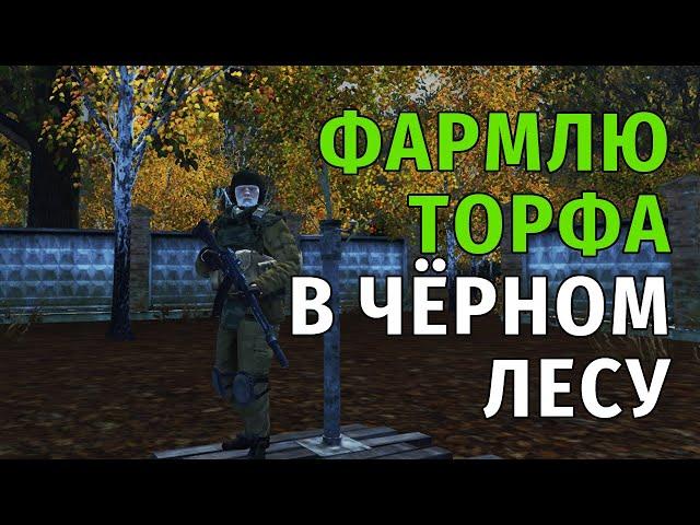 122. Фармлю Торфа в Чёрном Лесу. Сталкер Онлайн | Stalker Online | Stay Out. RU2.