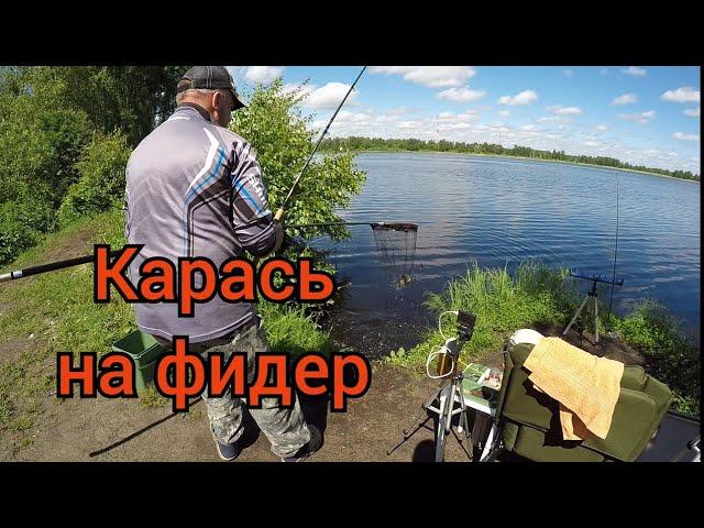 Ловля Карася летом в жару.