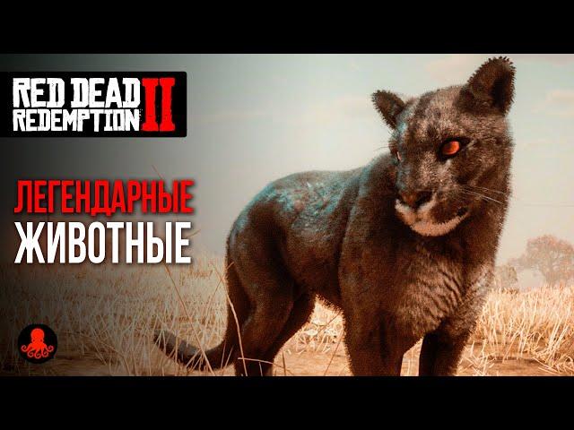 ЛЕГЕНДАРНЫЕ ЖИВОТНЫЕ в Red Dead Redemption 2 | RDR2