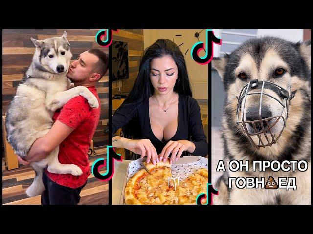 Самые Популярные Тик Ток приколы про собак хаски / Лучшее из Tik Tok 2022 - Тренды HUSMUT