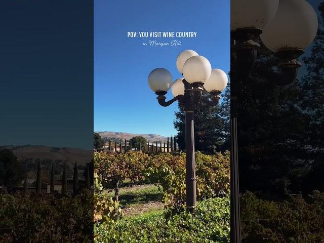 Wine Country Getaway | Morgan Hill, California