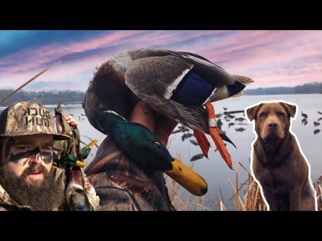 Duck Gun Chronicles Hunt 4: Feet Down Beat Down - FULL MOVIE