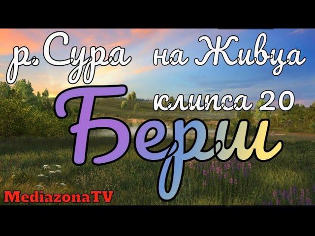 Русская Рыбалка 4 Где Клюет р Сура Берш на Живца 12.01.23
